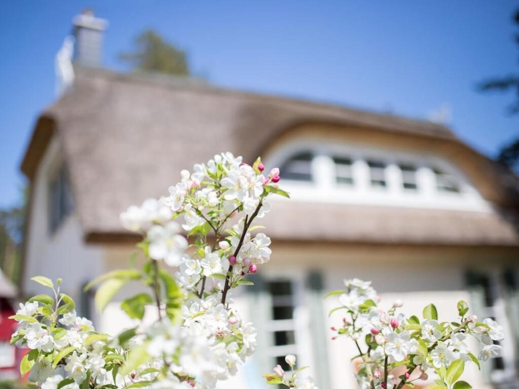 Holiday Home Reet-Seaside Glowe Esterno foto